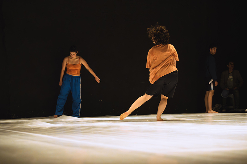 Ensamble desviadas-Méx1