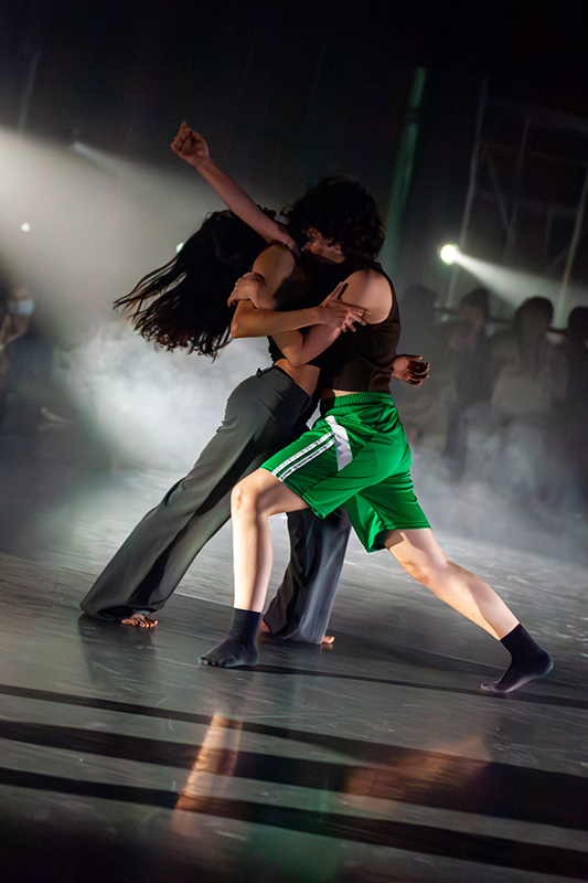 Ensamble desviadas-2